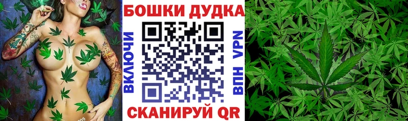 как найти наркотики  Балашов  Канабис THC 21% 